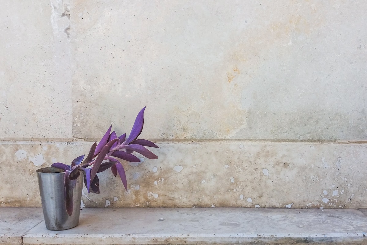 The Art of Minimalism